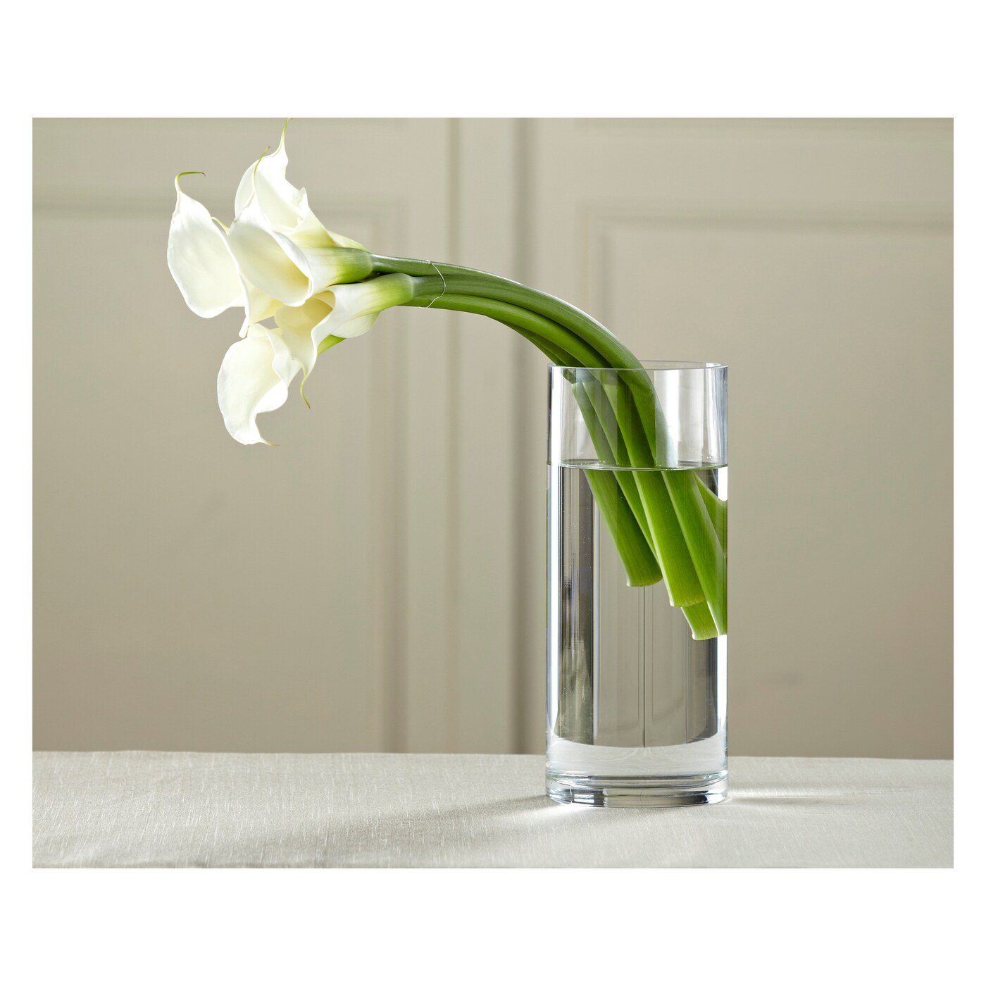 Fresh flowers flower collection