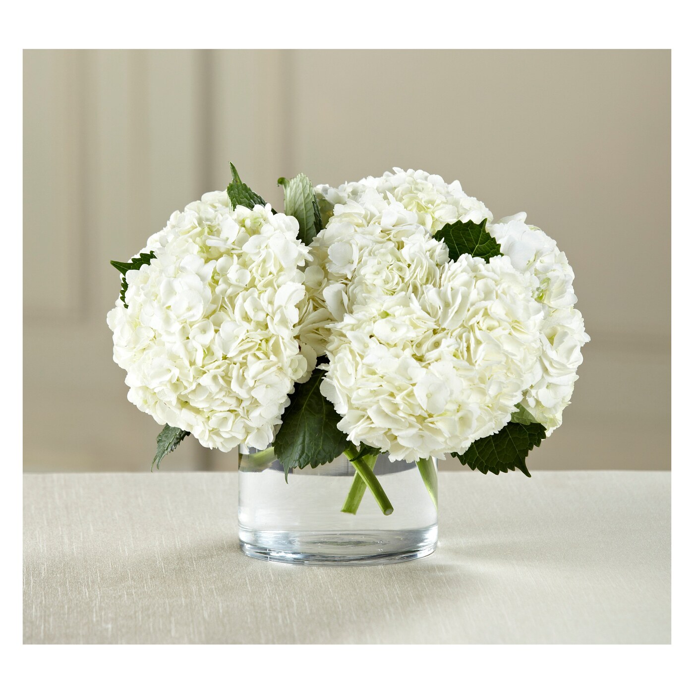 Fresh flowers flower collection